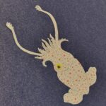 Ai Takahashi