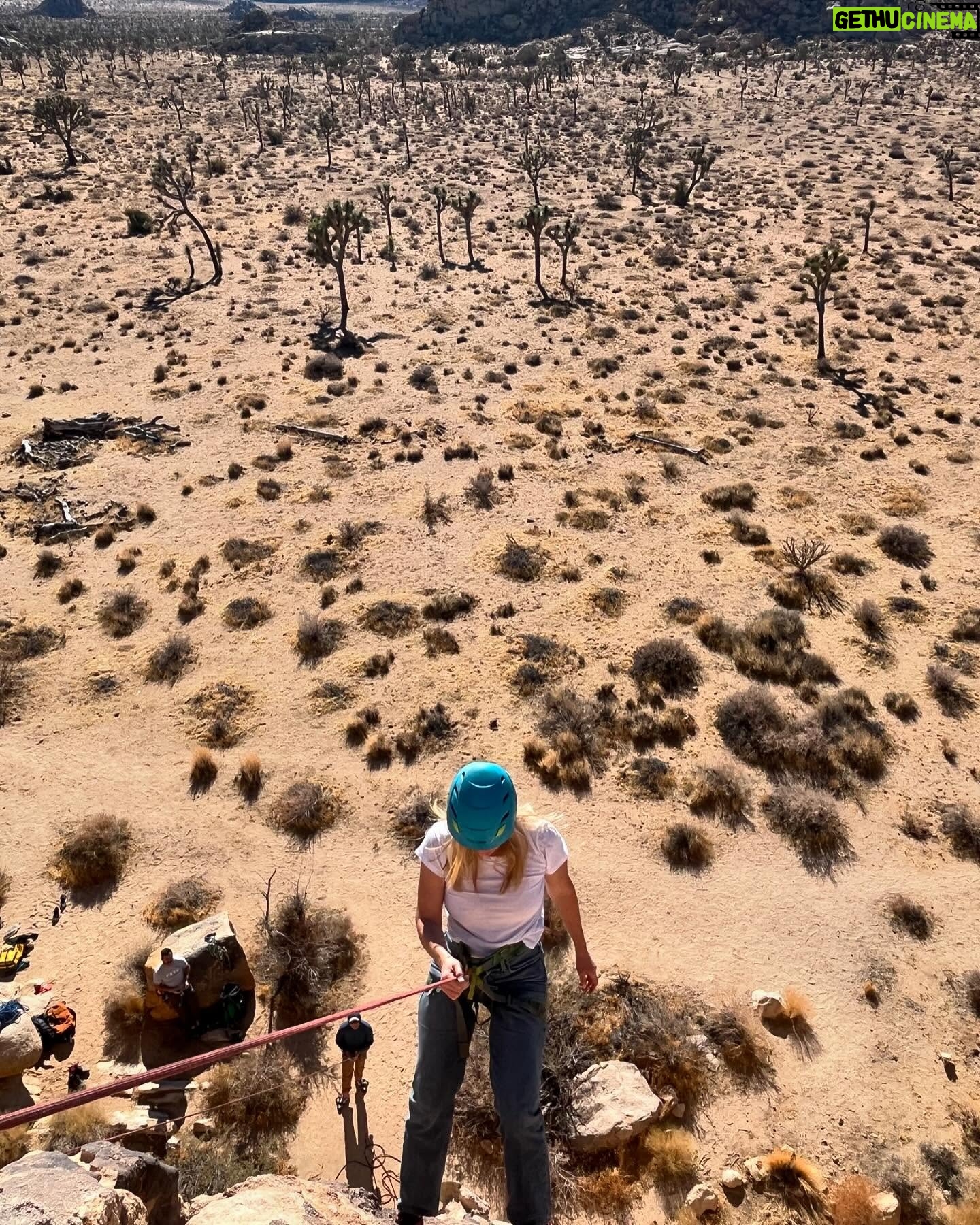 Alice Eve - 15.6K Likes - Loved learning to rock climb with @cliffhangerguides. Going up was great. Looking down was scary af.