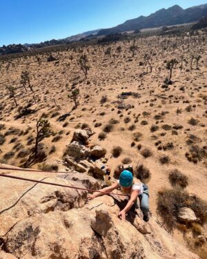 Alice Eve Instagram - Loved learning to rock climb with @cliffhangerguides. Going up was great. Looking down was scary af.