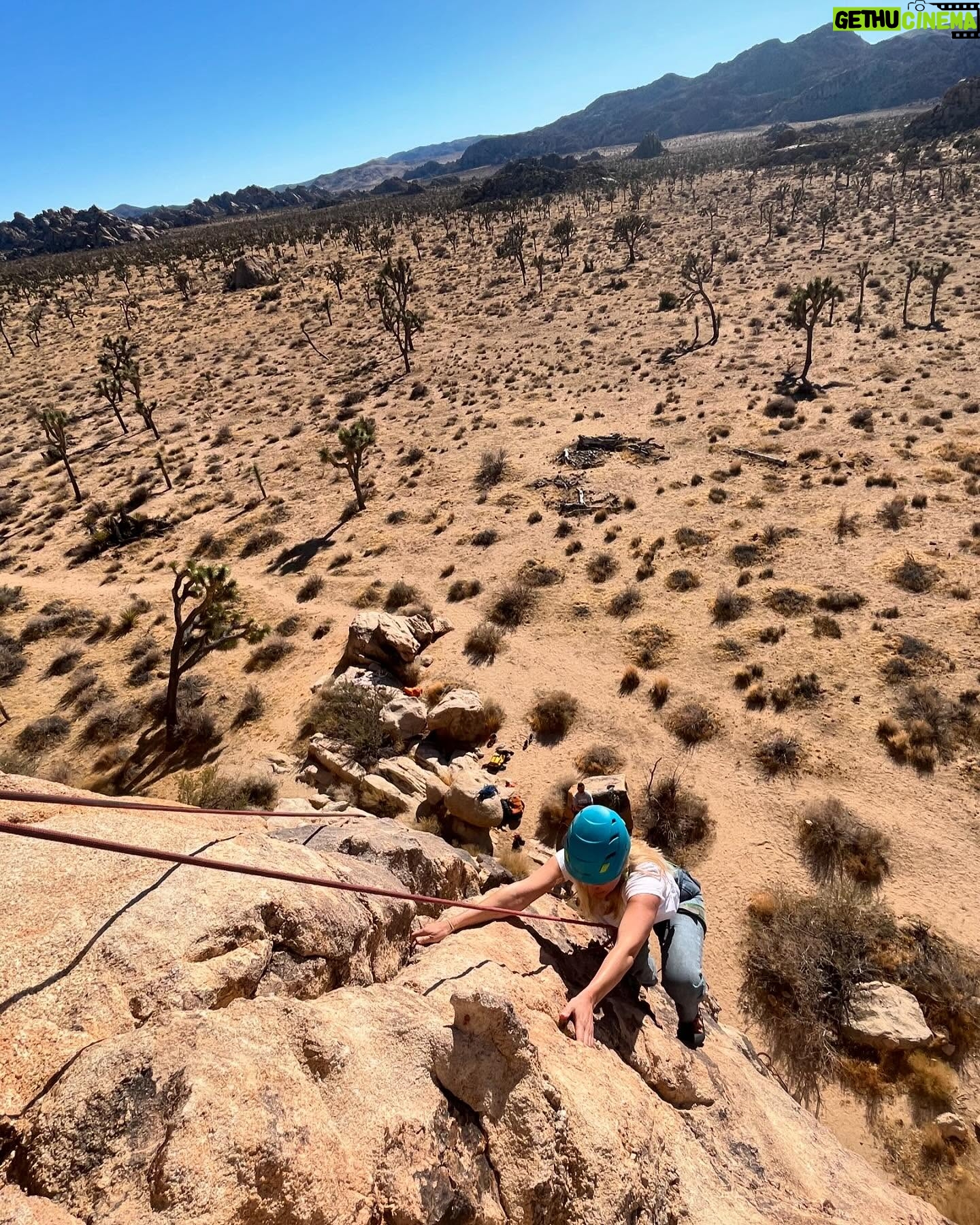 Alice Eve - 15.6K Likes - Loved learning to rock climb with @cliffhangerguides. Going up was great. Looking down was scary af.