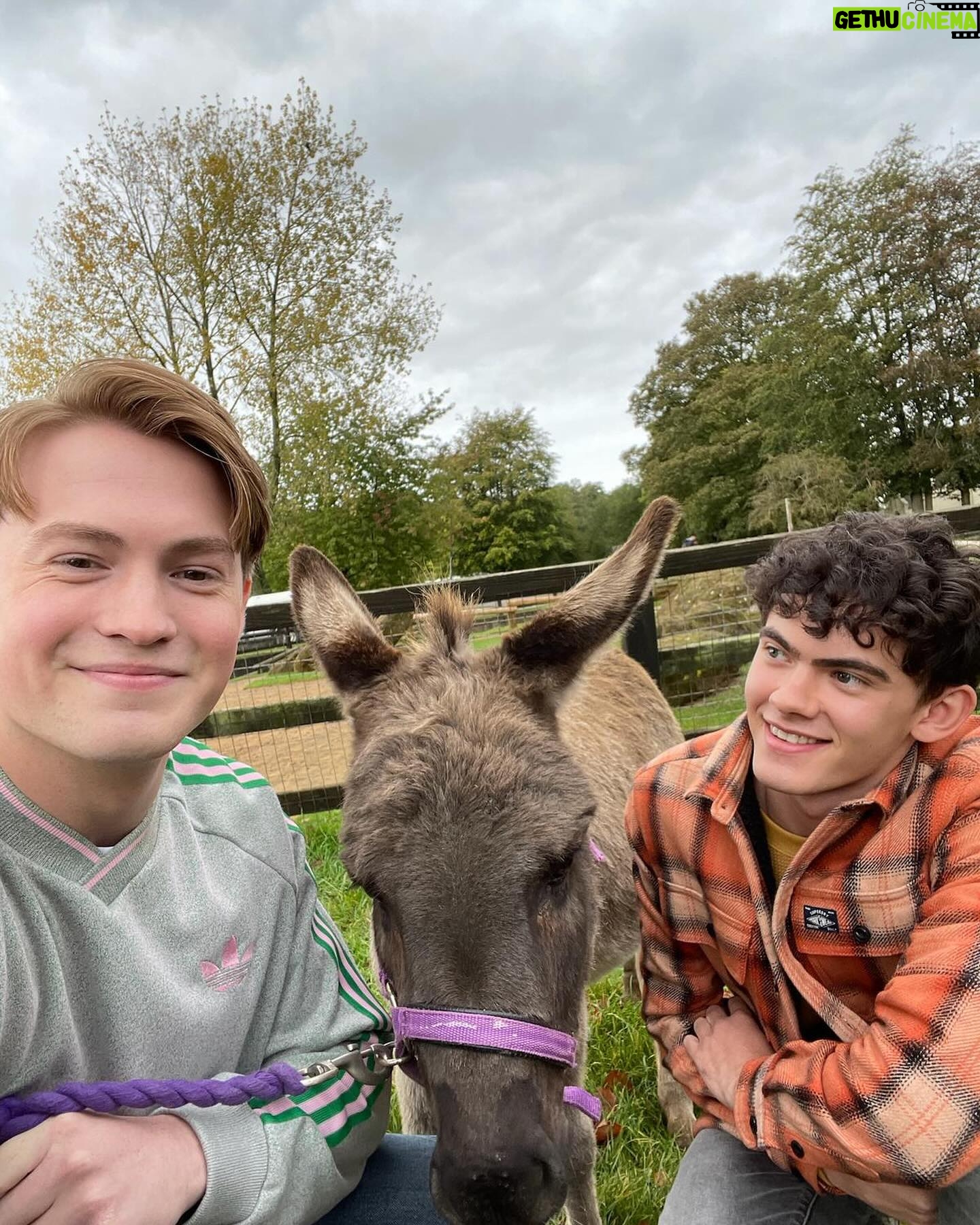 Alice Oseman - 837.6K Likes - Happy 2 weeks of Heartstopper S3! Did anyone ask for more of the in-show photos… 🍂
