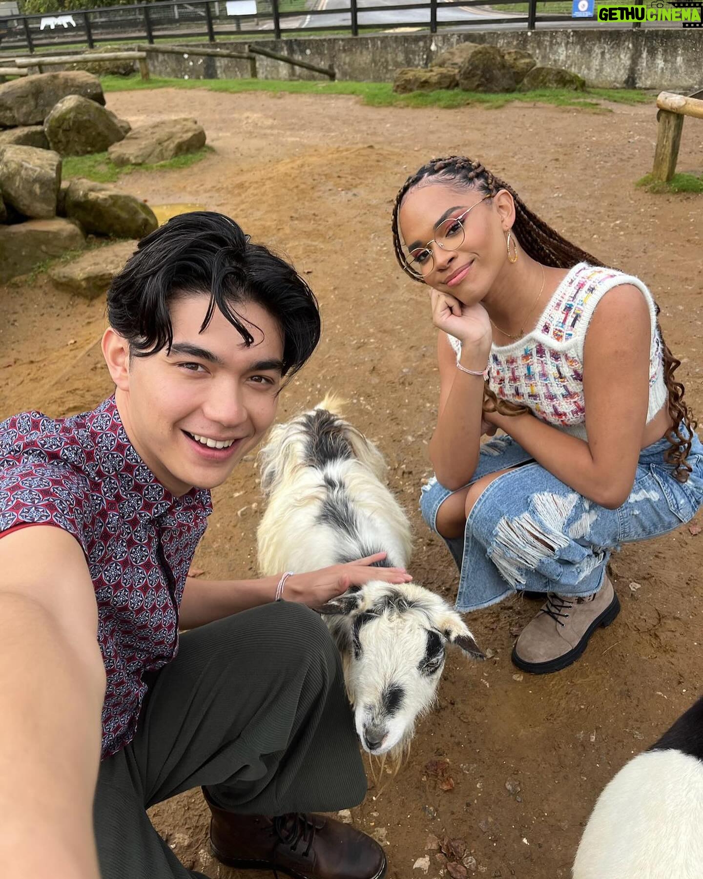 Alice Oseman - 837.6K Likes - Happy 2 weeks of Heartstopper S3! Did anyone ask for more of the in-show photos… 🍂