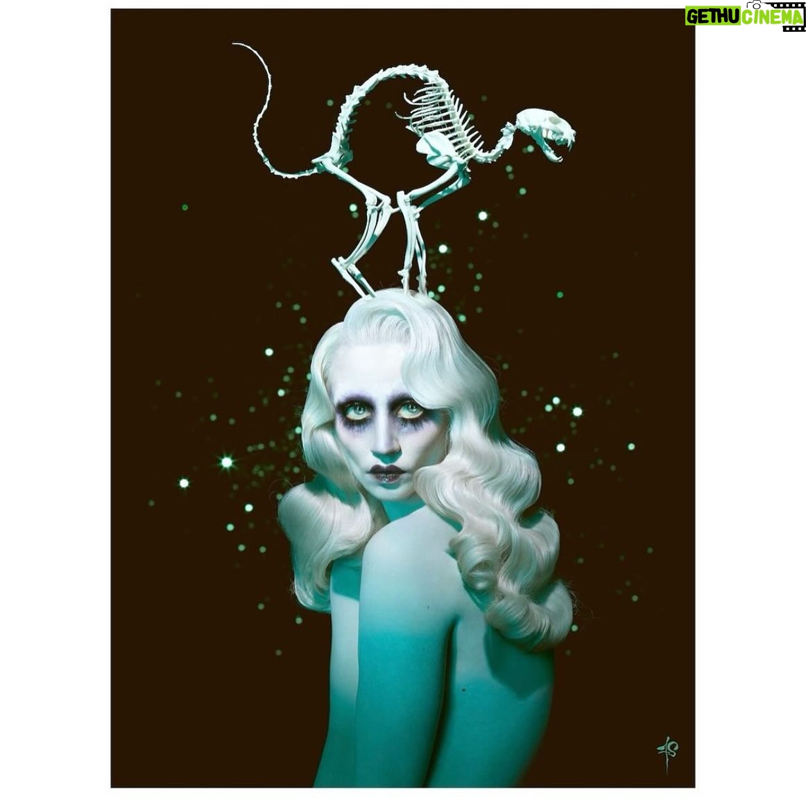 Allison Harvard - 34.2K Likes - "Scaredy Cat" by my favorite @franzszony 🥀🐈⬛🦴
MUA @brittbrutal
Assist @michellehebertofficial
Hair @neciashairstyling