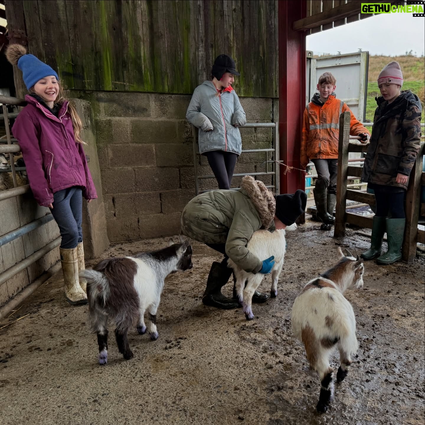 Amanda Owen - 21.4K Likes - Proud of the farmy army. πππ«π¬ π π ππ
Just some of the formidable bunch, the next generation of doers. πͺπΌ #yorkshire #farm #countryside #outdoors #shepherdess