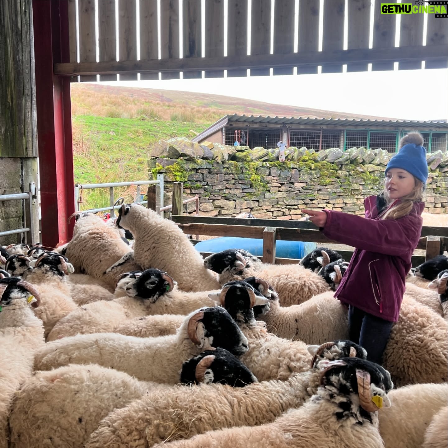 Amanda Owen - 21.4K Likes - Proud of the farmy army. πππ«π¬ π π ππ
Just some of the formidable bunch, the next generation of doers. πͺπΌ #yorkshire #farm #countryside #outdoors #shepherdess