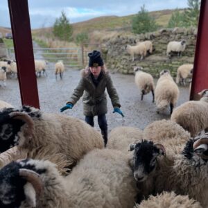 Amanda Owen Instagram - Proud of the farmy army. 👭👭👫👬 🐑 🐑 🐑🐑
Just some of the formidable bunch, the next generation of doers. 💪🏼 #yorkshire #farm #countryside #outdoors #shepherdess