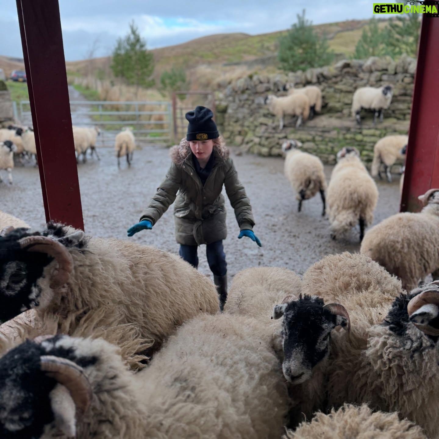 Amanda Owen - 21.4K Likes - Proud of the farmy army. πππ«π¬ π π ππ
Just some of the formidable bunch, the next generation of doers. πͺπΌ #yorkshire #farm #countryside #outdoors #shepherdess