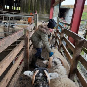 Amanda Owen Instagram - Proud of the farmy army. 👭👭👫👬 🐑 🐑 🐑🐑
Just some of the formidable bunch, the next generation of doers. 💪🏼 #yorkshire #farm #countryside #outdoors #shepherdess