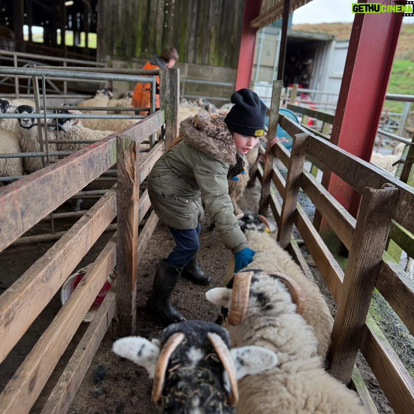 Amanda Owen - 21.4K Likes - Proud of the farmy army. πππ«π¬ π π ππ
Just some of the formidable bunch, the next generation of doers. πͺπΌ #yorkshire #farm #countryside #outdoors #shepherdess
