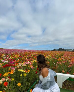 Ana Cheri Instagram - April Showers bring May Flowers 🌷🌸🌼 Birthday date with my favorite fellow Taurus.
Excited for all my birthday celebrations this week! 

🫶🏽♉️ @photojenick and I decided to cafe hop in San Diego and visit the flower fields in Carlsbad 🌸🌷I’d highly recommend a girls day to do this if you live in SoCal 🫶🏽