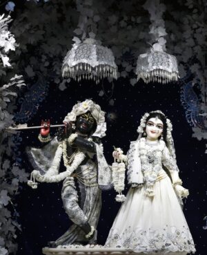 Anagha Bhosale Instagram - 🤍🌷 If u have them in your life u have everything, if u don’t have them in ur life u have nothing ….so please start chanting Hare Krishna Mahamantra everyone 🦚
.
Hare Krishna Hare Krishna Krishna Krishna Hare Hare 
Hare Rama Hare Rama Rama Rama Hare Hare