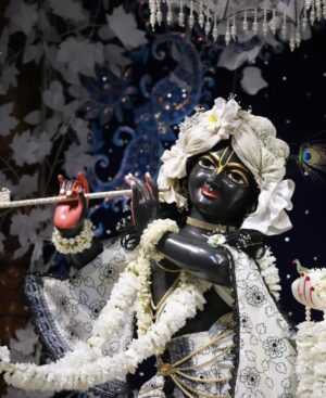 Anagha Bhosale Instagram - 🤍🌷 If u have them in your life u have everything, if u don’t have them in ur life u have nothing ….so please start chanting Hare Krishna Mahamantra everyone 🦚
.
Hare Krishna Hare Krishna Krishna Krishna Hare Hare 
Hare Rama Hare Rama Rama Rama Hare Hare