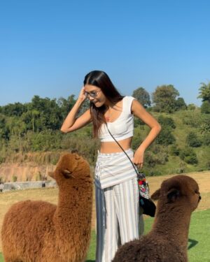 Aniporn Chalermburanawong Instagram - เจียงฮายย อากาศดีขนาดจ้าวววว 💐🐑⛅️