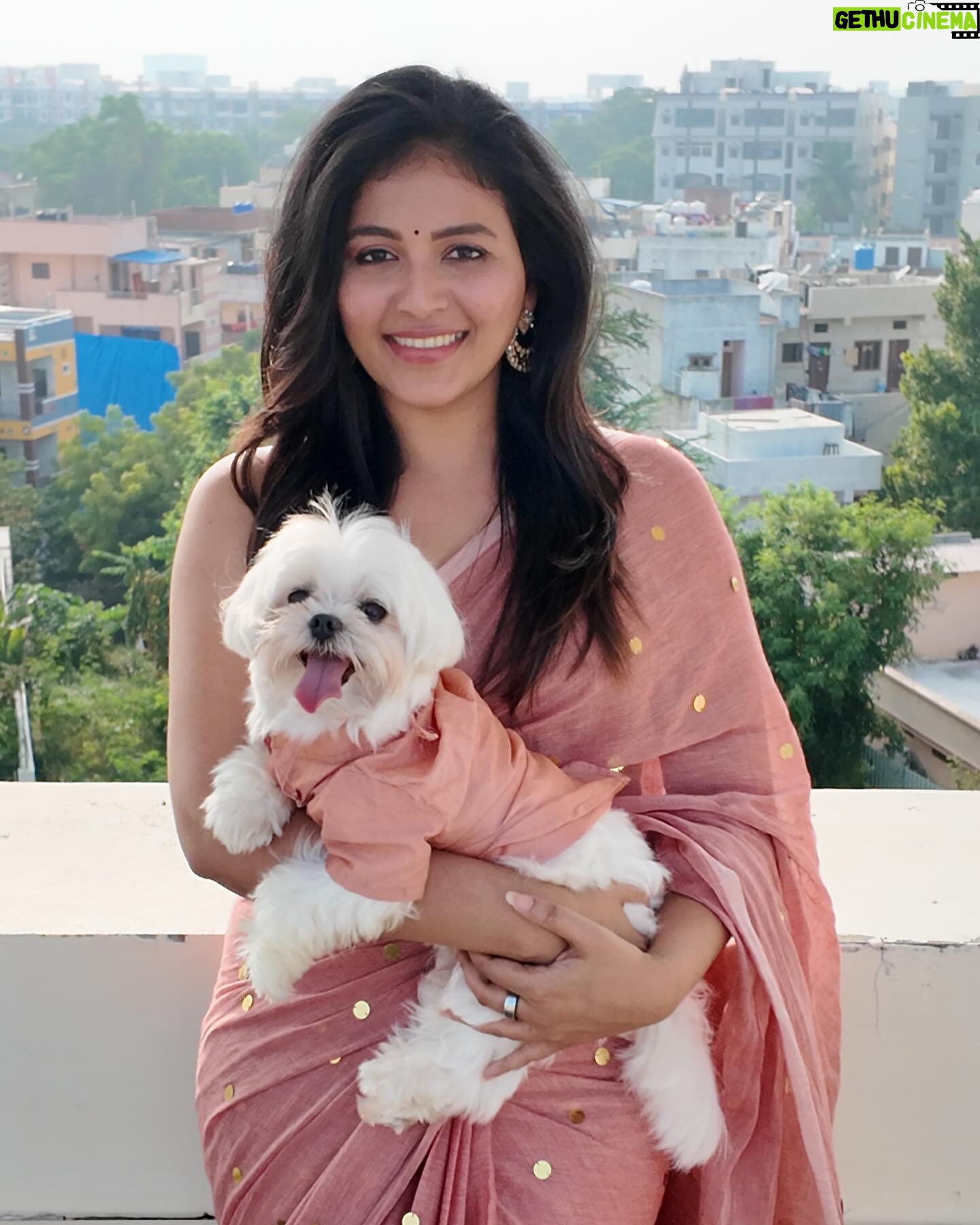 Anjali - 193.7K Likes - Saree saga continues! 💫
#polodiaries #saree #love #happy #weekend