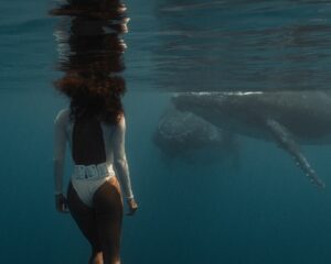 Ariadna Hafez Navarro Instagram - El océano nunca deja de fascinarme y de regalarme momentos que llenan mi alma entera. Esta situación fue una de las mayores locuras de mi vida. Tahiti, noviembre 2023. No habíamos mostrado estas fotos hasta ahora.. y son una reliquia. Situación: 

Estoy flotando, rodeada de ese azul infinito, viendo a lo lejos una mama y su cria acercarse lentamente (foto 3) El bebe me ve. Y ,curioso, decide adelantarse a su madre y acercarse aun más. Cuando noto que se interesa en mí, me giro lentamente, le doy la espalda y le miro del revés, flotando inmovil. Al bebé definitivamente le gustó lo que veía, porque de inmediato empezó a imitar mi movimiento: se dio la vuelta y dejó su pancita expuesta hacia arriba, y mientras me miraba fijamente, siguió avanzando.
 
Ahí estaba yo, flotando boca abajo, conteniendo la respiración, intentando no moverme. Sentía como mi corazón se aceleraba. ¡¡ El bebé había entendido lo que yo estaba haciendo y decidió imitarme!! No daba crédito a lo que estaba viviendo. Cada segundo que pasaba, lo veía mas cerca. Estas ballenas me aceptaron, me dejaron formar parte de su mundo por un instante. Me permitieron disfrutar de su majestuosidad, de su belleza. Fue increíble ser testigo directo de la inteligencia que tienen. La madre, tranquila, se quedo a un lado, observando todo.

Siempre estaré agradecida a estos dos seres que me regalaron un momento único, que siempre estará grabado en mí.
Estos encuentros solo suceden cuando les das la oportunidad a ellos de decidir la interacción. Tienes que entrar al agua con calma, espéralos desde la distancia, y deja que sean ellos los que se acerquen, no nades hacia ellos. Si estas en un lugar donde hay mas barcos y personas en el agua, es mejor alejarse y buscar otra ballena que esté sola. Quizá tardes mas en encontrarlas y tienes menos encuentros, pero la experiencia será mucho mas especial y el animal se sentirá respetado. 

Como guinda del pastel tenia a @megbatphoto con su cámara, capturando el momento con su toque de magia 🤍📷
Y por otro lado tenía a @andremusgrove con su Red, grabándolo todo en video.. Sí, pronto llegará el momento de compartirlo 😊

Shot under Permit Diren No6381