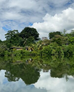 Arushi Sharma Instagram - Turning a year older at @tri_lanka Tri by Koggala Lake felt like stepping into a dream. For two blissful days, I was surrounded by serene waters, lush greenery, and a deep sense of calm that only nature can provide. 🌿✨

From the moment I arrived, the staff welcomed me with genuine warmth and unparalleled hospitality, making my birthday on November 18th feel truly special. The floating breakfast overlooking the lake, the candlelight dinner under the stars, and the rejuvenating stillness of this eco-luxury retreat are memories I’ll cherish forever. 🌊💫

Tri isn’t just a resort; it’s a sanctuary. Every detail, from the sustainable architecture to the focus on wellness, is designed to make you feel connected to nature while indulging in quiet luxury. If you’re looking for a place to relax, recharge, or celebrate life’s moments, this hidden gem by Koggala Lake is where you should be.

Thank you, Tri, for making my birthday an unforgettable experience. I already can’t wait to return. 💚