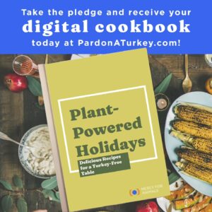 Aubrey K. Miller Instagram - This holiday season, you can take a stand for suffering animals by making the compassionate choice to “pardon” a turkey and enjoy a plant-based celebration.

In return, you’ll receive our new digital cookbook, Plant-Powered Holidays: Delicious Recipes for a Turkey-Free Table. It is packed with festive recipes that are kind to animals and includes a lovely foreword by Emmy-nominated actress Aubrey Miller! ✨️🦃

Take the pledge today at PardonATurkey.com (link in @mercyforanimals bio)!

#PardonATurkey #Thanksgiving #TheHolidays #Vegan #PlantBased #VeganCookbook