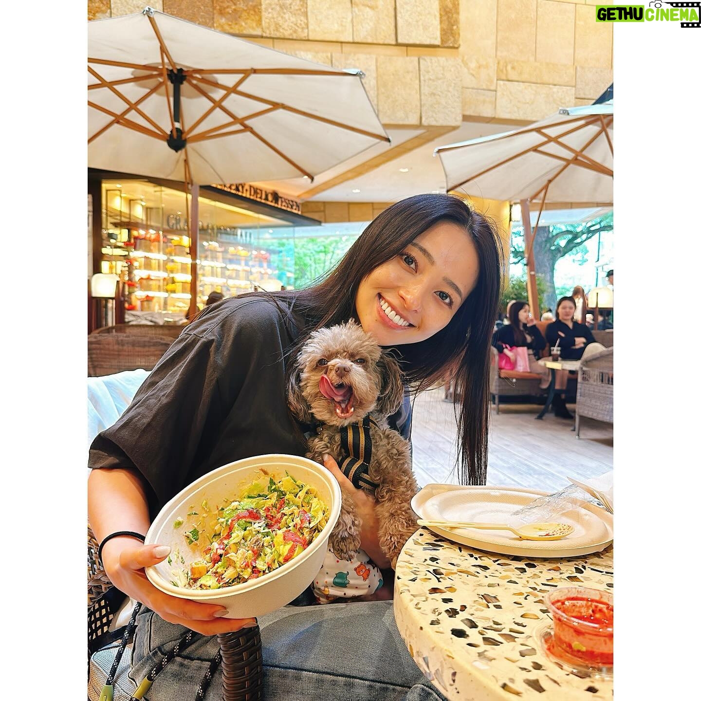Ayame Misaki - 6.1K Likes - まろんと野菜の日。まろんがぺろってしようとしてた!
夜は寒いけど、お昼はお天気良くて気持ちいいね♪
オータムハーベスト初めて食べたけどめっちゃ好みの味だった。うまうま。いつもスパイシーバイマイをアレンジする派です!