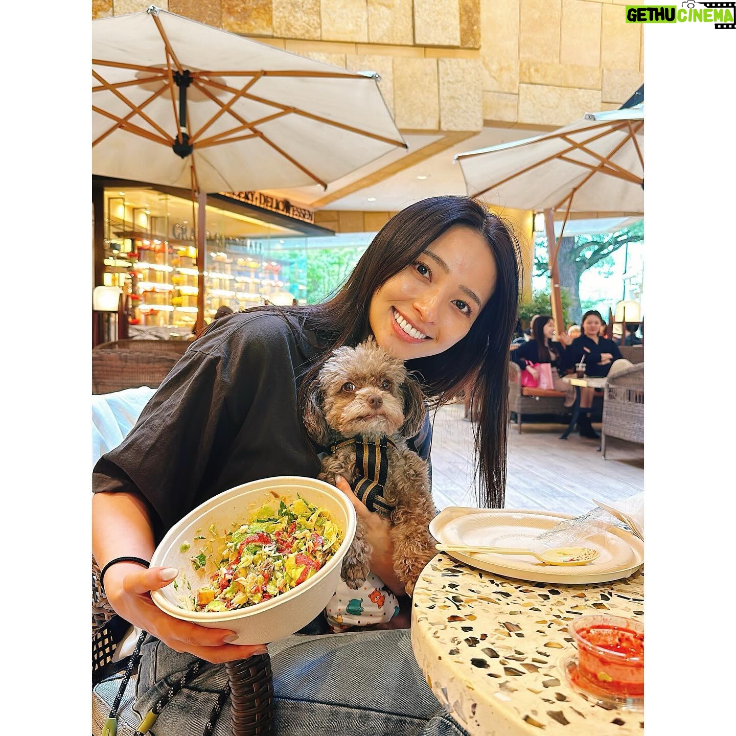 Ayame Misaki - 6.1K Likes - まろんと野菜の日。まろんがぺろってしようとしてた!
夜は寒いけど、お昼はお天気良くて気持ちいいね♪
オータムハーベスト初めて食べたけどめっちゃ好みの味だった。うまうま。いつもスパイシーバイマイをアレンジする派です!