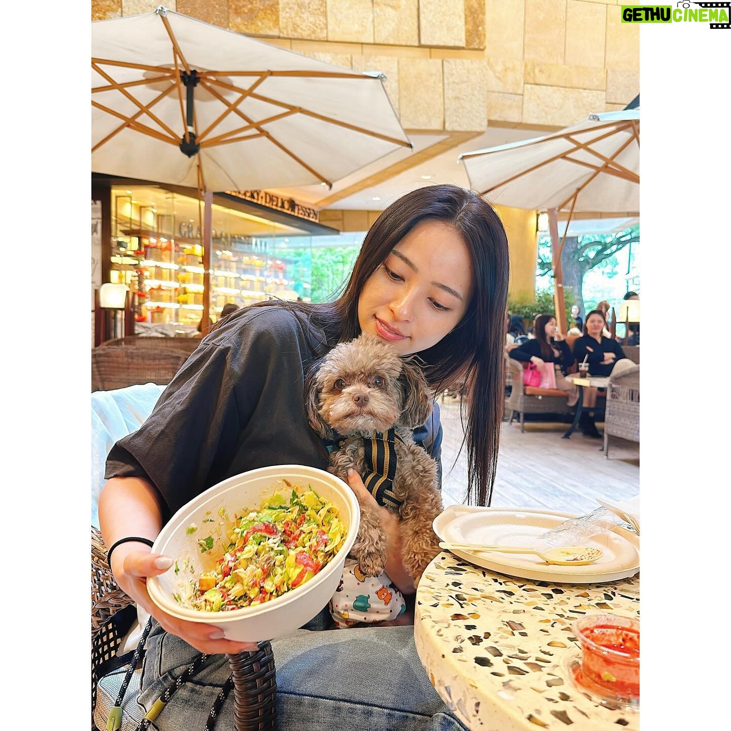 Ayame Misaki - 6.1K Likes - まろんと野菜の日。まろんがぺろってしようとしてた!
夜は寒いけど、お昼はお天気良くて気持ちいいね♪
オータムハーベスト初めて食べたけどめっちゃ好みの味だった。うまうま。いつもスパイシーバイマイをアレンジする派です!