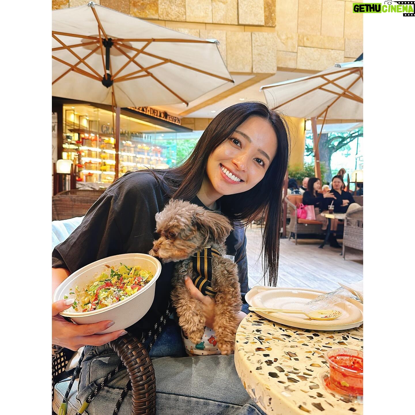 Ayame Misaki - 6.1K Likes - まろんと野菜の日。まろんがぺろってしようとしてた!
夜は寒いけど、お昼はお天気良くて気持ちいいね♪
オータムハーベスト初めて食べたけどめっちゃ好みの味だった。うまうま。いつもスパイシーバイマイをアレンジする派です!