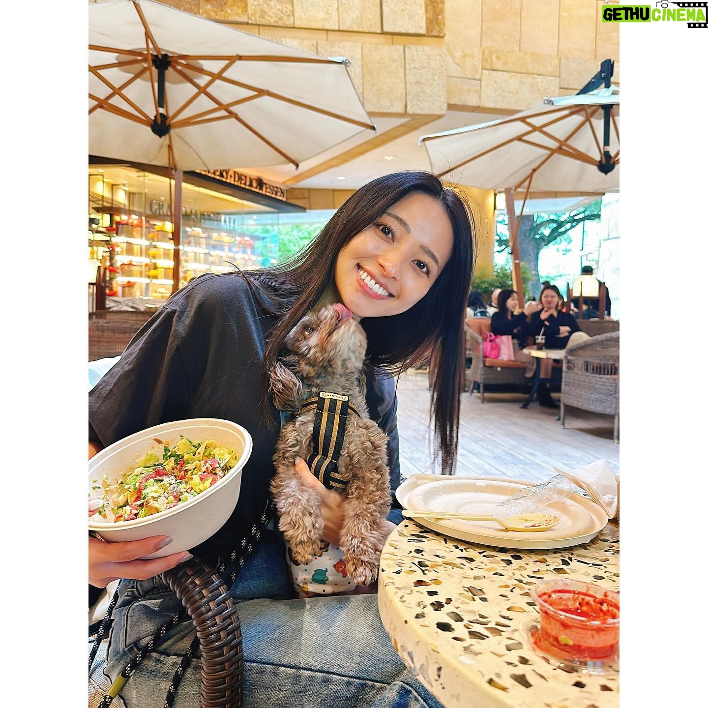 Ayame Misaki - 6.1K Likes - まろんと野菜の日。まろんがぺろってしようとしてた!
夜は寒いけど、お昼はお天気良くて気持ちいいね♪
オータムハーベスト初めて食べたけどめっちゃ好みの味だった。うまうま。いつもスパイシーバイマイをアレンジする派です!