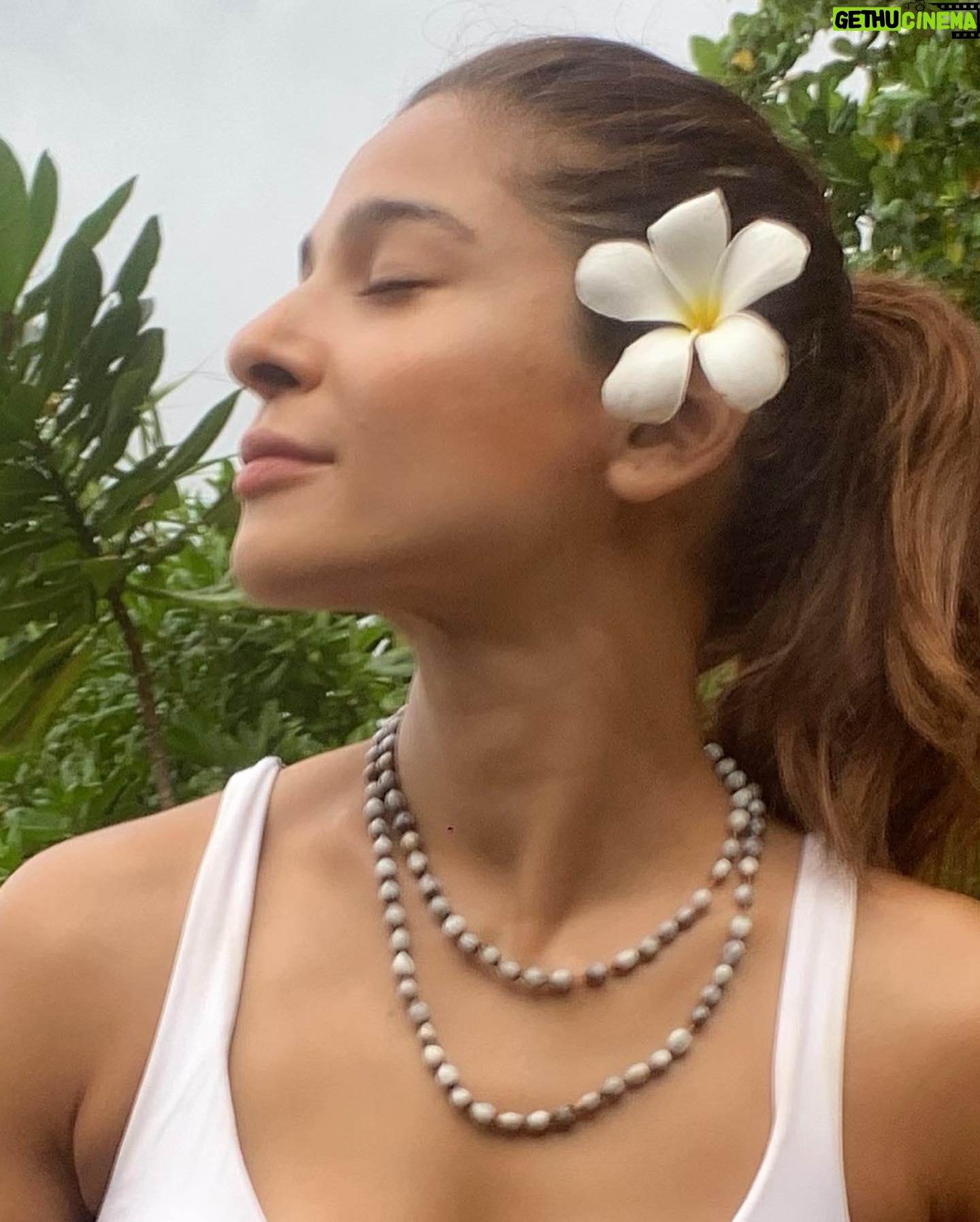Ayesha Omar - 54K Likes - 2 weeks of detoxing from technology, stimulants, phone, television, social media, work environments, people, animal protein, caffeine, refined sugar, gluten, dairy, pollution, cars, fuel smoke, chemicals, makeup and heavy metals, using natural products, eating the most delicious and nutritious organic Vegetarian Food prepared with love and care, drinking herbal teas and other Ayurvedic concoctions, being close to nature and waking up to the roaring ocean, basking in the glorious sun, reading, thinking, writing, daily yoga and treatments, circulating massages and being around calming energies at @barberyn_resorts
🌴🧚♀️🌹
#ayeshaomar #welcomehome #welcometonature #ayeshaobeauty