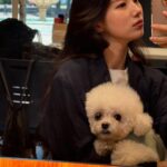 Bae Suzy