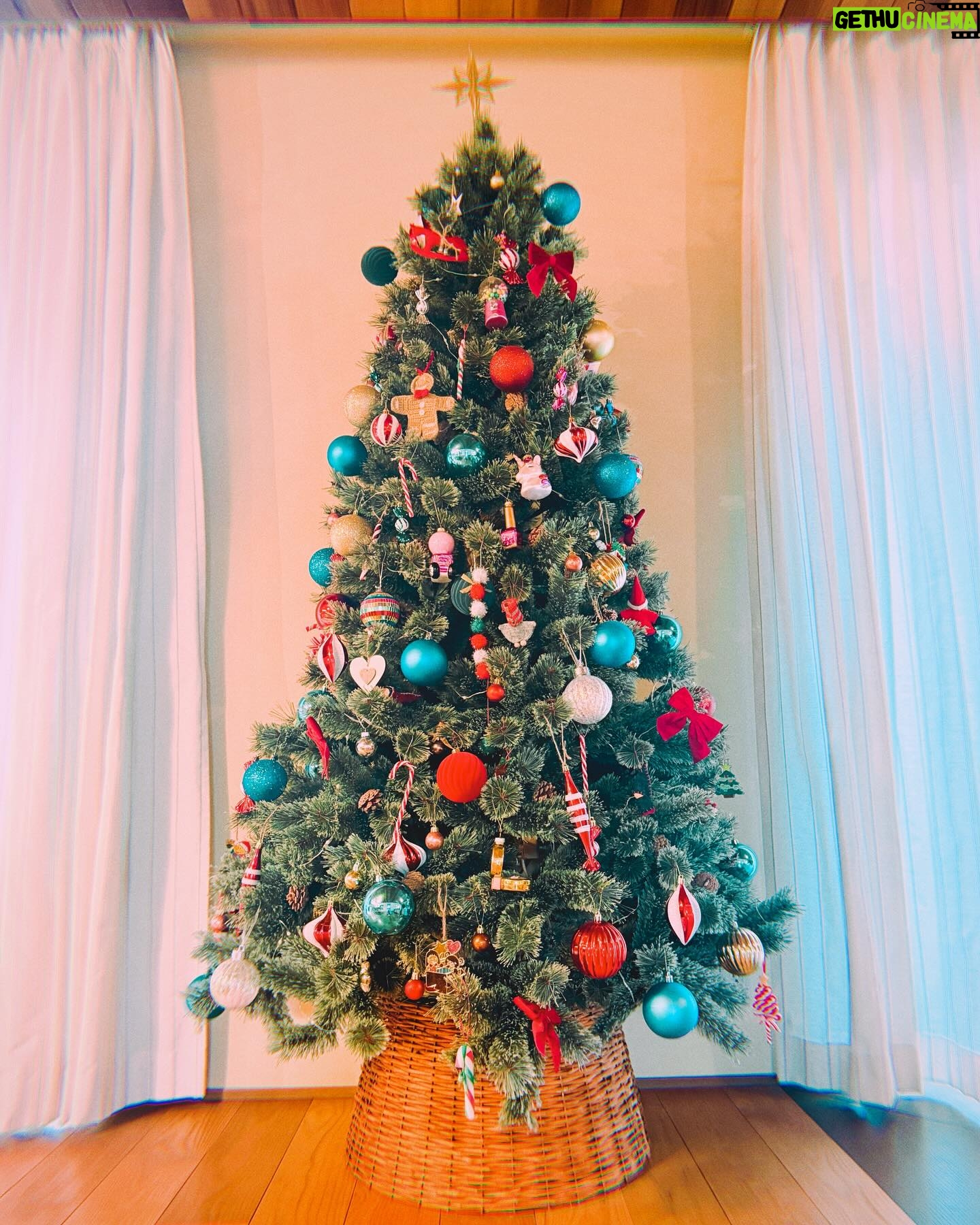 Becky - 8.4K Likes - 今さらクリスマス投稿すみません。
でも期間的にはまだクリスマスということで失礼します🎄
今年もご近所さんとクリスマスタコスパーティー!
タコス&実家ターキーとコラボして最高の1日でした!
大好きな仲間たち!
本当にいつもありがとう!!
いっぱいお料理作ったのに、こういう時って自分のお料理写真撮るの忘れちゃう。
でもみんなにどうぞー!ってお料理出したあと『写真撮るから食べるのちょっと待って!』っていうの、私がやったらさむいですよね😂
…って、ま、いっか!笑
撮りたきゃ撮ろう!!!!!
さ!今日も大そうじがんばろっと!
みなさまも素敵な1日をーーーーー🌈