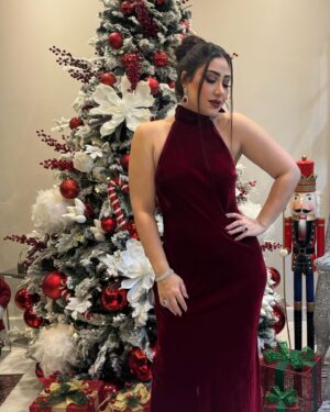 Boussy Instagram - Merry Christmas Everyone 🎄🎉❤️🌹