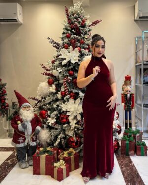 Boussy Instagram - Merry Christmas Everyone 🎄🎉❤️🌹