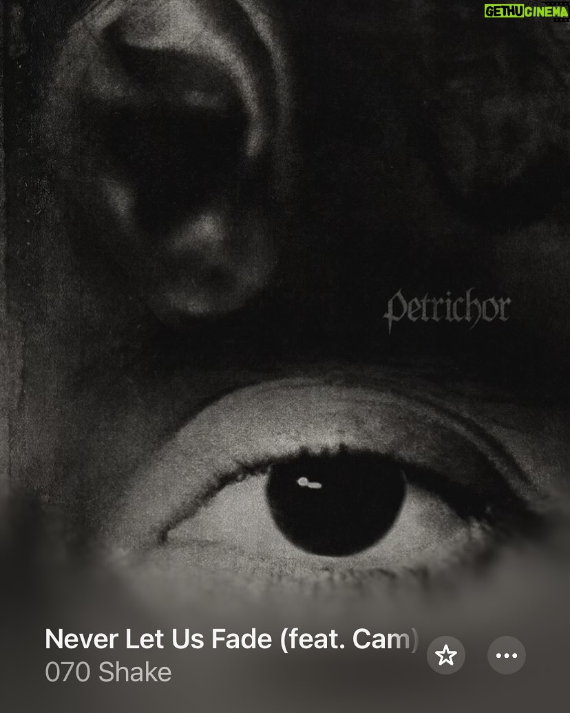 Cam - 3 Likes - ‘Never Let Us Fade’ is here! So proud to be on this song with you @070shake -the whole album is pure art 🤍 Can’t thank you and @thedavehamelin enough for inviting me into your world.
@andersmou Reverend & co-writer
@douglascshowalter vocal jet pack creator
