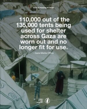 Carice van Houten Instagram - 🚨6 BABIES FREEZE TO DEATH IN GAZA IN JUST 1 WEEK 🚨

The total number of Palestinians who have died of hypothermia in Gaza in one week has now reached seven, including six babies. This number is expected to rise as temperatures continue to plummet and the majority of Gaza’s population is forced to live in makeshift shelters and tents.

“We have warned more than once of the danger of air depressions, winter and frost waves coinciding with the tragic reality experienced by our Palestinian people who are being subjected to killings, genoc/de and the destruction of homes and vital sectors, and who are being subjected to displacement and eviction,” stated the Gaza Media Office.

Aid groups worldwide are warning that nearly a million people in Gaza lack adequate shelter to survive the winter, with temperatures dropping as low as 6°C (42°F).

Israel’s relentless bombardment has left fewer buildings standing in Gaza this winter, forcing Palestinians, who have repeatedly fled Israeli attacks, to seek refuge in makeshift tents constructed from tarpaulin, blankets, cardboard, and old rice sacks. Basic shelter materials such as tarps, plastic sheeting, and insulation remain largely unavailable due to Israel’s blockade of essential goods. 

The Norwegian Refugee Council reported that by late November, only 285,000 displaced Palestinians in Gaza had received critical shelter materials, leaving 945,000 still in urgent need. UNRWA chief Philippe Lazzarini highlighted the dire situation, revealing that “blankets, mattresses and other winter supplies have been stuck in the region for months waiting for approval to get into Gaza.”

THIS IS ENTIRELY PREVENTABLE, THIS IS A CHOICE ISRAEL HAS MADE.

👉 EMAIL YOUR ELECTED OFFICIAL NOW! USE THE FREE TEMPLATE IN @humantiproject’s bio or visit HumantiProject.org 👈

——
Sources: Al Jazeera, The Norwegian Refugee Council, UNRWA.