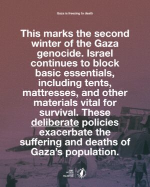 Carice van Houten Instagram - 🚨6 BABIES FREEZE TO DEATH IN GAZA IN JUST 1 WEEK 🚨

The total number of Palestinians who have died of hypothermia in Gaza in one week has now reached seven, including six babies. This number is expected to rise as temperatures continue to plummet and the majority of Gaza’s population is forced to live in makeshift shelters and tents.

“We have warned more than once of the danger of air depressions, winter and frost waves coinciding with the tragic reality experienced by our Palestinian people who are being subjected to killings, genoc/de and the destruction of homes and vital sectors, and who are being subjected to displacement and eviction,” stated the Gaza Media Office.

Aid groups worldwide are warning that nearly a million people in Gaza lack adequate shelter to survive the winter, with temperatures dropping as low as 6°C (42°F).

Israel’s relentless bombardment has left fewer buildings standing in Gaza this winter, forcing Palestinians, who have repeatedly fled Israeli attacks, to seek refuge in makeshift tents constructed from tarpaulin, blankets, cardboard, and old rice sacks. Basic shelter materials such as tarps, plastic sheeting, and insulation remain largely unavailable due to Israel’s blockade of essential goods. 

The Norwegian Refugee Council reported that by late November, only 285,000 displaced Palestinians in Gaza had received critical shelter materials, leaving 945,000 still in urgent need. UNRWA chief Philippe Lazzarini highlighted the dire situation, revealing that “blankets, mattresses and other winter supplies have been stuck in the region for months waiting for approval to get into Gaza.”

THIS IS ENTIRELY PREVENTABLE, THIS IS A CHOICE ISRAEL HAS MADE.

👉 EMAIL YOUR ELECTED OFFICIAL NOW! USE THE FREE TEMPLATE IN @humantiproject’s bio or visit HumantiProject.org 👈

——
Sources: Al Jazeera, The Norwegian Refugee Council, UNRWA.