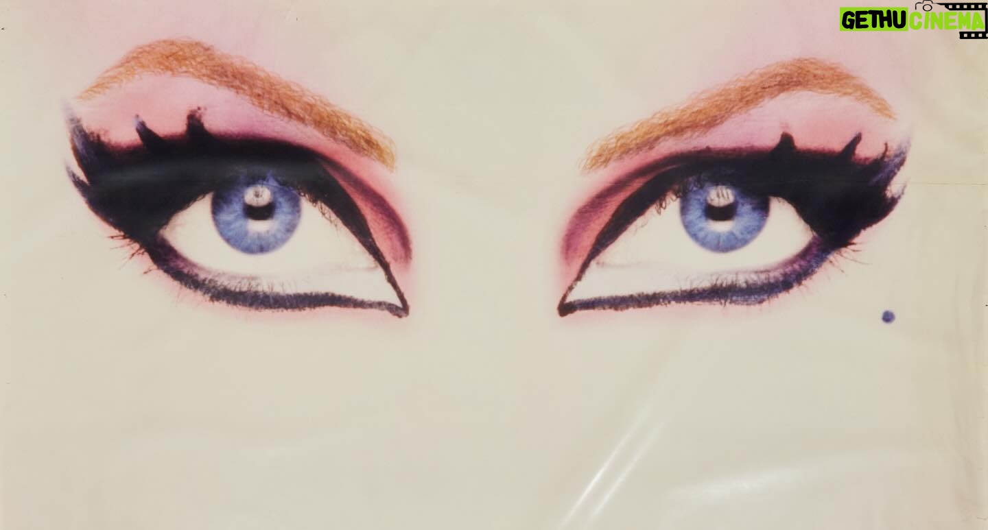 Cassandra Peterson - 42K Likes - @juliens_auctions will hold it’s “HOLLYWOOD LEGENDS: SCI-FI, HORROR, & ACTION” Auction on December 12th 2024 at 10am. Included in the auction is this piece – the large (approx. 8’x12’) banner of my eyes that I burst through during the final scene of Elvira, Mistress of the Dark, while riding on the hood of my Macabre Mobile. Only 2 were made, the one that was destroyed in the movie and this identical backup banner. Now’s your chance to own a little (or should I say BIG) piece of me! 👁️ 👁️ (Auction link in bio)