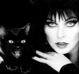 Cassandra Peterson Instagram - Happy Friday the 13th! Did you know that 13 is actually a very lucky number in some cultures? It’s true! 13 was considered a symbol of good fortune by ancient Egyptians. They associated the number with the afterlife and the eternal soul. And, there were those 13 steps leading up to the gallows in old English law – talk about reaching new heights!

#elvira #elviramistressofthedark #fridaythe13th