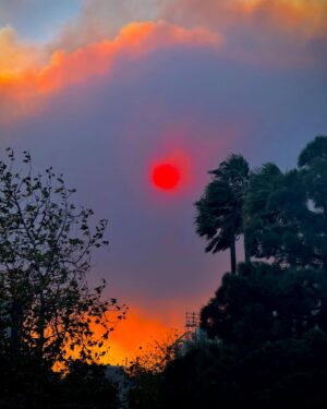 Cassandra Peterson Instagram - Evacuated Wednesday night from the Hollywood Hills and spent a scary 24 hours. The winds and fires are devastating! So sad for all those who have lost so much 💔❤️‍🩹