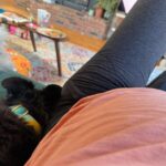 Cecily Strong