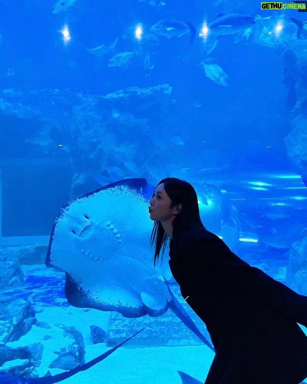 Chae Soo-bin - 1.3 Million Likes - 이따 만나요오:)