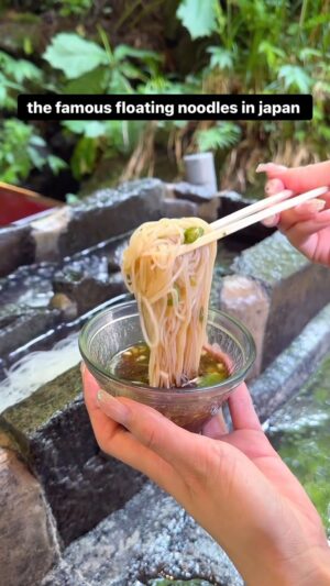 Chahat Anand Instagram - Catch your meal?🥢Follow @chahat_anand ✨

these are nagashi somen or flowing noodles from japan. 

#reels #noodleslover #foodposts #japonesefood