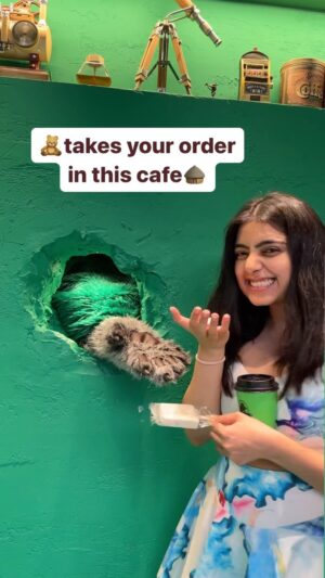 Chahat Anand Instagram - Review in the end! Who wants to go there? Share with someone who would teddy bears 🧸

#cafe #japancafe #japantour #japangram #japan