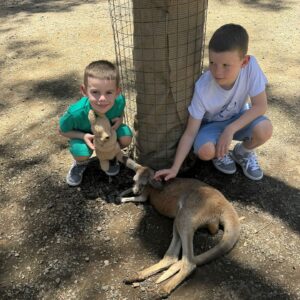 Coleen Rooney Instagram - The boys have arrived and went straight on the hunt for a kangaroo 🇦🇺🦘 Cass hasn’t let go of his Teddy 🤗 Don’t come out yet mum we’ve got more kangaroos to find!! 🥰 #ImACeleb
