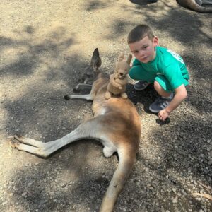 Coleen Rooney Instagram - The boys have arrived and went straight on the hunt for a kangaroo 🇦🇺🦘 Cass hasn’t let go of his Teddy 🤗 Don’t come out yet mum we’ve got more kangaroos to find!! 🥰 #ImACeleb