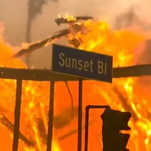 Danica McKellar Instagram - I lived in Los Angeles for 40 years... from the age of 7 to 47... I never imagined this could happen to my hometown. The ongoing destruction is unfathomable.  I've thought of little else the last three days, and my heart and prayers are with everyone who have lost so much so quickly. 💔 
.
.
If you are in Los Angeles and have been displaced by the fires, please swipe for several resources for shelters/food/clothing, and please know that I am among countless others who truly care, are grieving with you, and want to help.
.
.
Wherever you are, if you have the means, please swipe to the slide "Ways you can help" and also the last slide, "Where to volunteer/donate." Please consider joining me in supporting the firefighters, first responders, and victims of this ongoing nightmare. 
.
.
And please also join me in prayer for the safety of all involved, especially our brave firefighters, and for these fires to end soon. 🙏🙏🙏