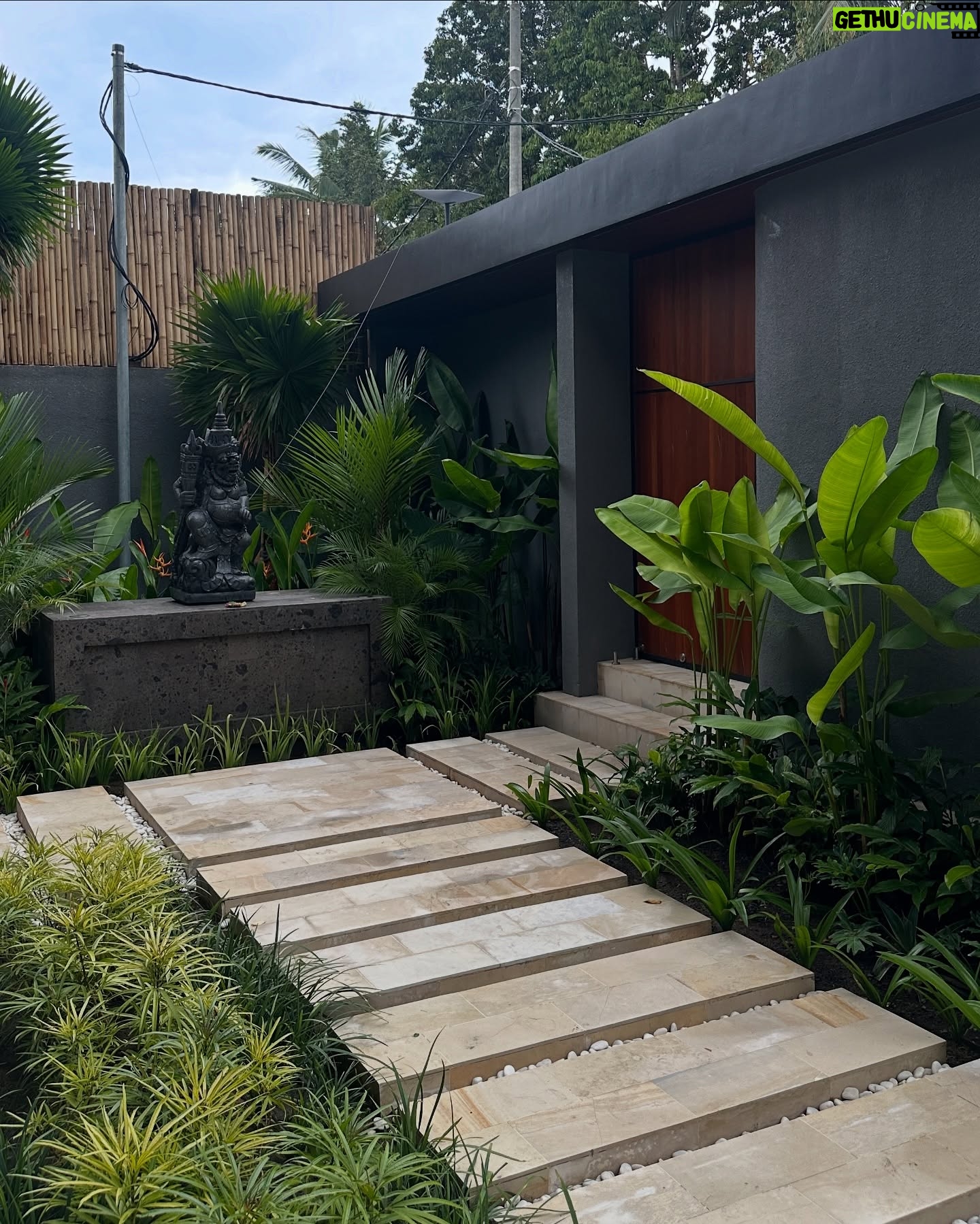 Daniela Melchior - 113.9K Likes - A day in Ubud ✨🎋