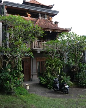 Daniela Melchior Instagram - A day in Ubud ✨🎋