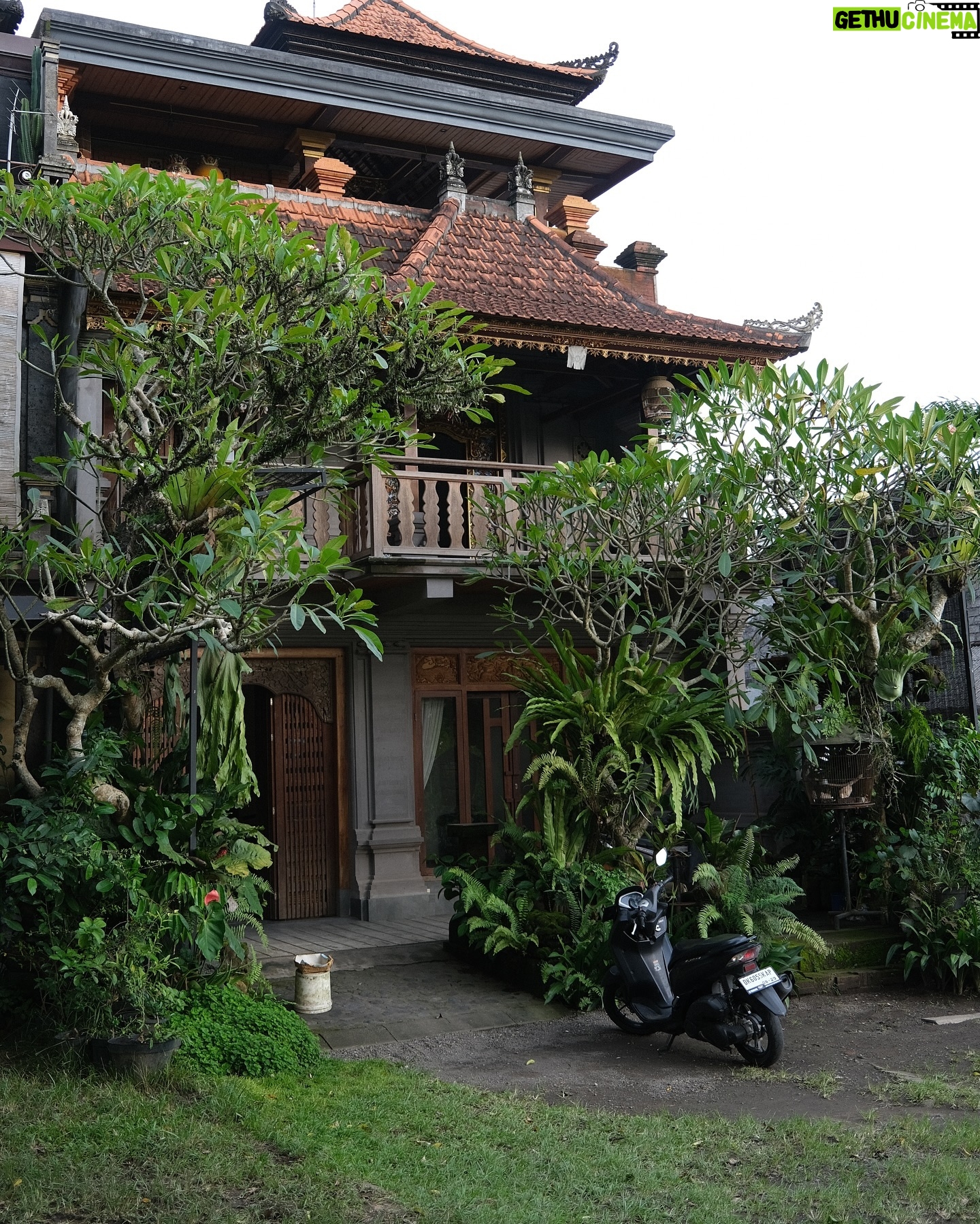 Daniela Melchior - 113.9K Likes - A day in Ubud ✨🎋