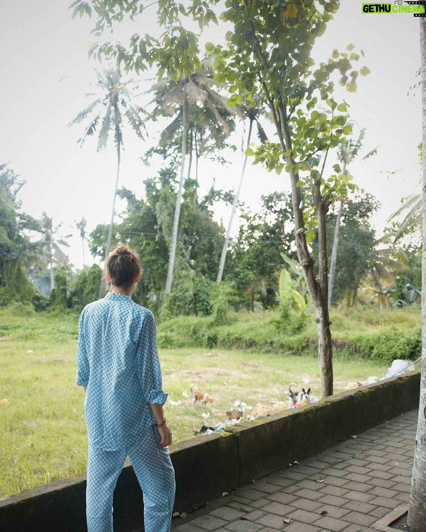 Daniela Melchior - 113.9K Likes - A day in Ubud ✨🎋