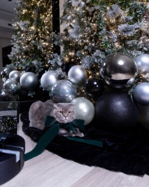 Daniella Rahme Instagram - Merry Christmas from the Zeytouns 🤍🎄🕯️