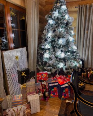 Davina Geiss Instagram - merry christmas🎄🤎